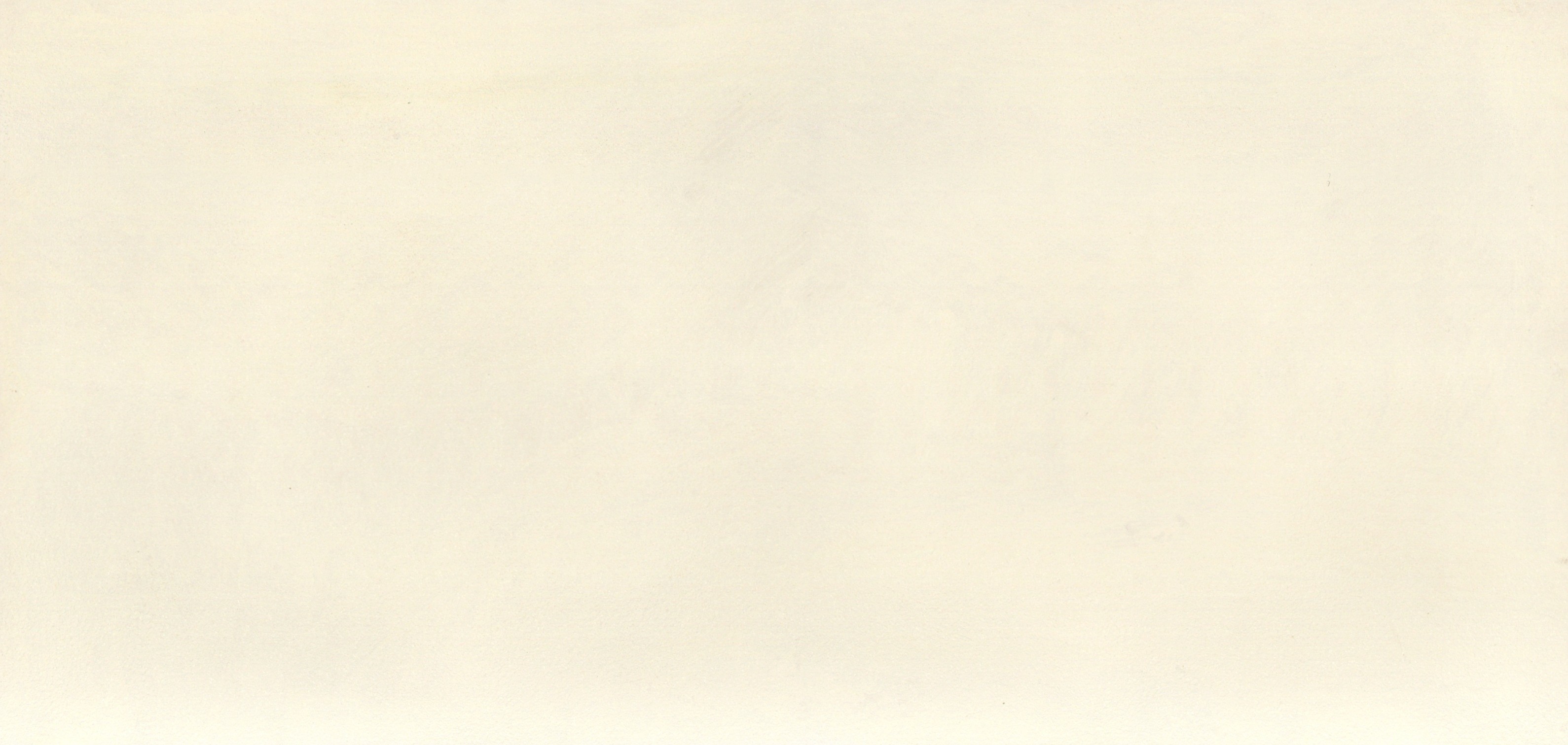 Sea White