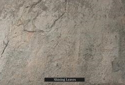 Shining Leaves